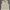 Montbell Sportswear Vest Wanita cream photo 1