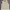 Montbell Sportswear Vest Wanita Cream