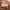 ZARA Luxury Minimalist Casual trouser Wanita pink photo 2