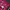 Biker Casual Wanita red pink photo 3
