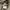 Polo Ralph Lauren Vintage Minimalist Sweatshirt Pria tan photo 4