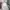 AWS Alter | STGALLEN Swiss Open photo 5