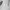 AWS Alter | STGALLEN Swiss Open photo 4