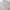 AWS Alter | STGALLEN Swiss Open photo 2