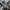 Under Armour Sportswear Jersey Pria white photo 4