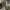 Under Armour Sportswear Jersey Pria white photo 5
