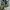 Avirex Vintage Y2K Parka Pria green photo 4