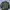 Avirex Vintage Y2K Parka Pria Green