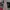 Fairy Coquette Midi dress Wanita pink photo 1