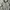 Tommy Hilfiger Gorpcore Sportswear Fleece Pria white photo 2