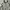 Tommy Hilfiger Gorpcore Sportswear Fleece Pria White