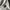 Tommy Hilfiger Gorpcore Sportswear Fleece Pria white photo 7