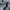 Tommy Hilfiger Gorpcore Sportswear Fleece Pria white photo 4