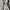 Tommy Hilfiger Gorpcore Sportswear Fleece Pria white photo 1