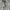 Levi's Vintage Casual Denim jacket Pria white photo 3