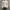 Levi's Vintage Casual Denim jacket Pria white photo 1