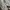 Levi's Vintage Casual Denim jacket Pria white photo 6