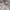 Casual Fleece Pria white black photo 4
