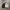 Casual Fleece Pria white black photo 1