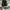 VANS Skater Sneakers Pria black photo 4