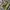 Streetwear Sportswear Bag Pria khaki photo 2