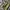 Streetwear Sportswear Bag Pria Khaki