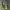 Streetwear Sportswear Bag Pria khaki photo 1