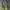 Streetwear Sportswear Bag Pria Khaki