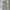 Dickies Vintage Streetwear Casual pants Pria khaki photo 2