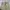 Dickies Vintage Streetwear Casual pants Pria khaki photo 4