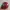 Biker Hat Pria burgundy photo 3