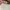 Stussy Streetwear Sweatshirt Pria multicolor photo 3