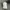 Puma Casual Hat Pria white black photo 1