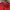 Polo Ralph Lauren Casual Sweatshirt Pria red photo 2
