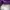 Salomon Vintage Sportswear Bomber jacket Pria purple white photo 5