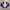 Salomon Vintage Sportswear Bomber jacket Pria purple white photo 6