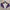 Salomon Vintage Sportswear Bomber Jacket Pria Purple White