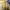 Japanese brand Luxury Casual Bomber jacket Pria gold black photo 4