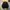 Japanese brand Luxury Casual Bomber jacket Pria gold black photo 3