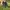 Salomon Gorpcore Sportswear Pria black photo 1