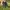 Salomon Gorpcore Sportswear Pria Black