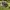 Salomon Gorpcore Sportswear Pria black photo 2