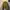 Japanese brand Vintage Streetwear Windbreaker Pria khaki photo 2