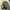 Japanese brand Vintage Streetwear Windbreaker Pria khaki photo 3