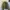 Japanese brand Vintage Streetwear Windbreaker Pria khaki photo 4