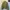 Japanese brand Vintage Streetwear Windbreaker Pria khaki photo 6
