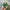 Adidas Casual Sneakers Pria white green photo 5