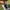 Salomon Gorpcore Sportswear Pria gray photo 2
