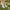 Salomon Gorpcore Sportswear Pria gray photo 1