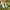 Salomon Gorpcore Sportswear Pria Gray